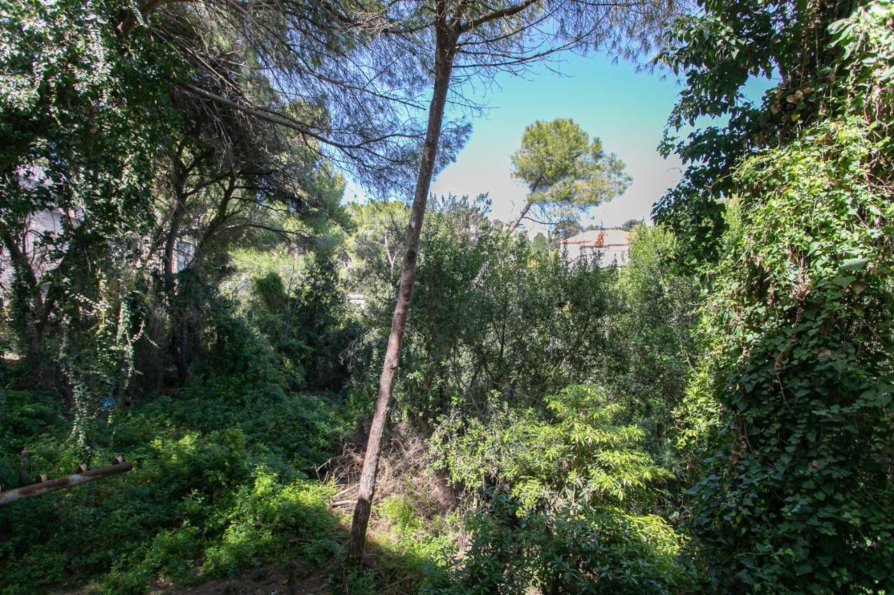 Carmel Boutique Apartments - Urban Forest Haifa Exterior photo